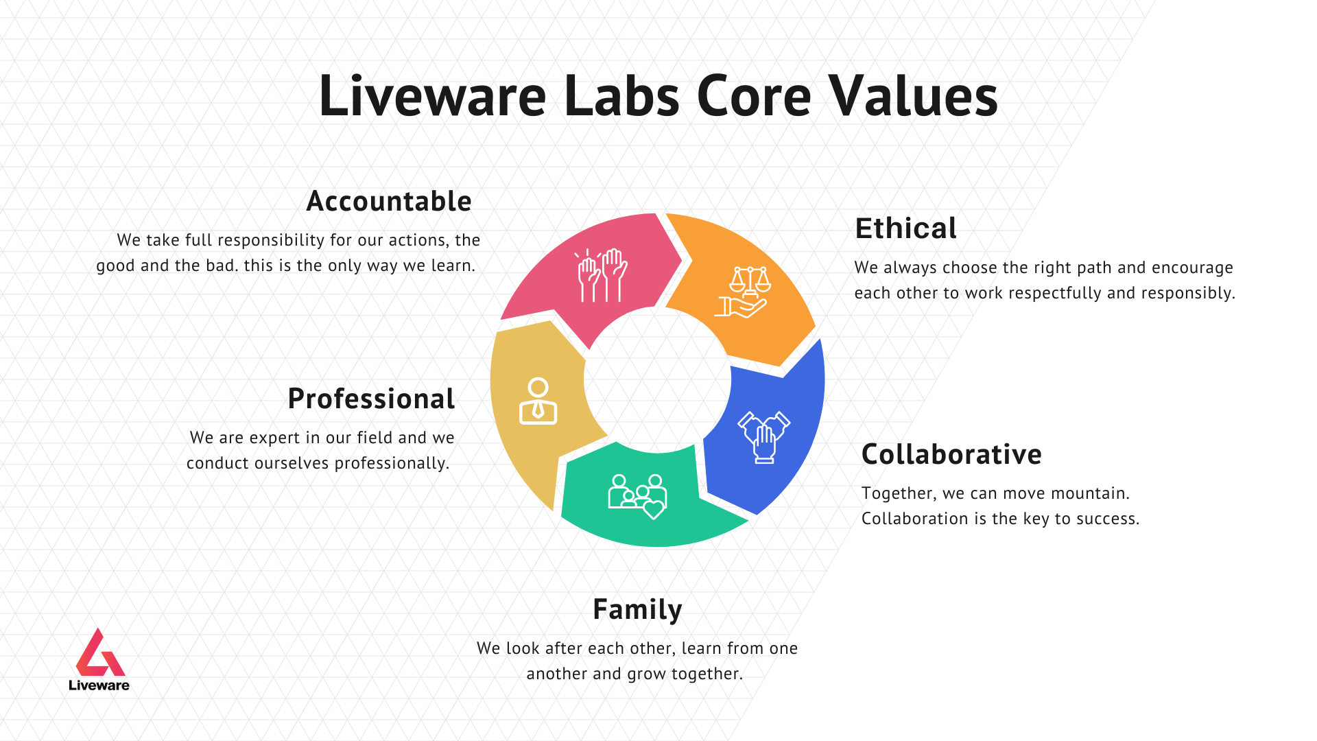 Liveware Labs 5 Core Values